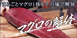 マグロ解体