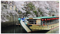 横浜湾の屋形船遊覧は、季節ごとに様々な表情を見せ、一年を通して楽しませてくれます。